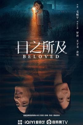 目之所及海报