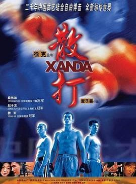 散打国语海报