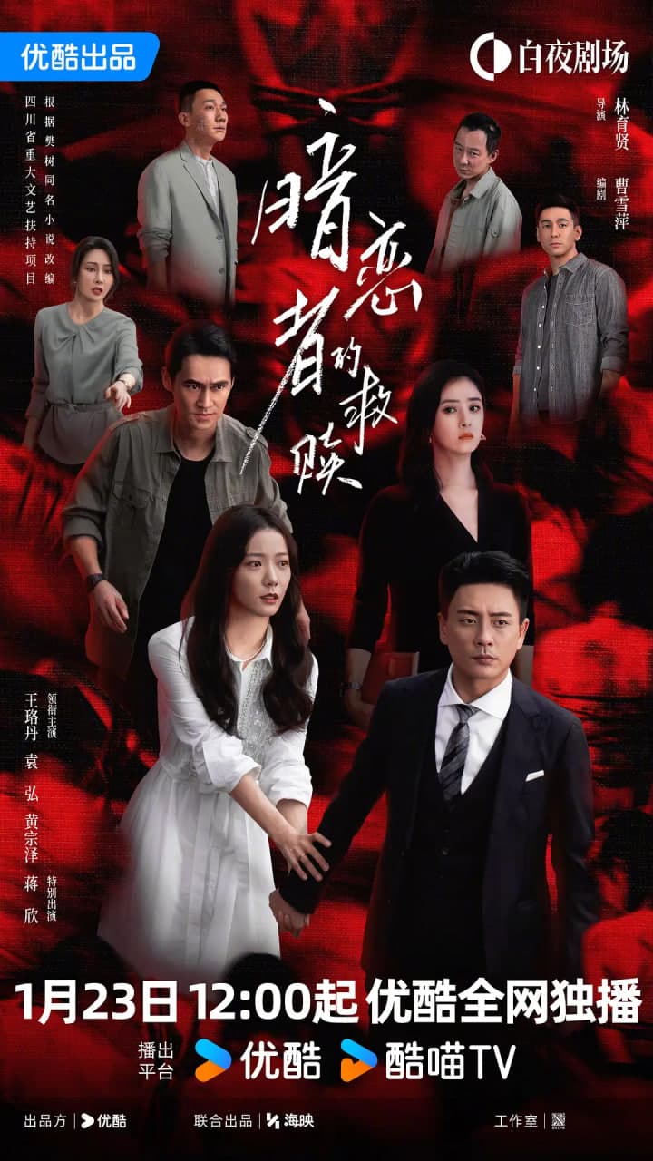 暗恋者的救赎海报