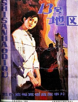 十三号地区海报