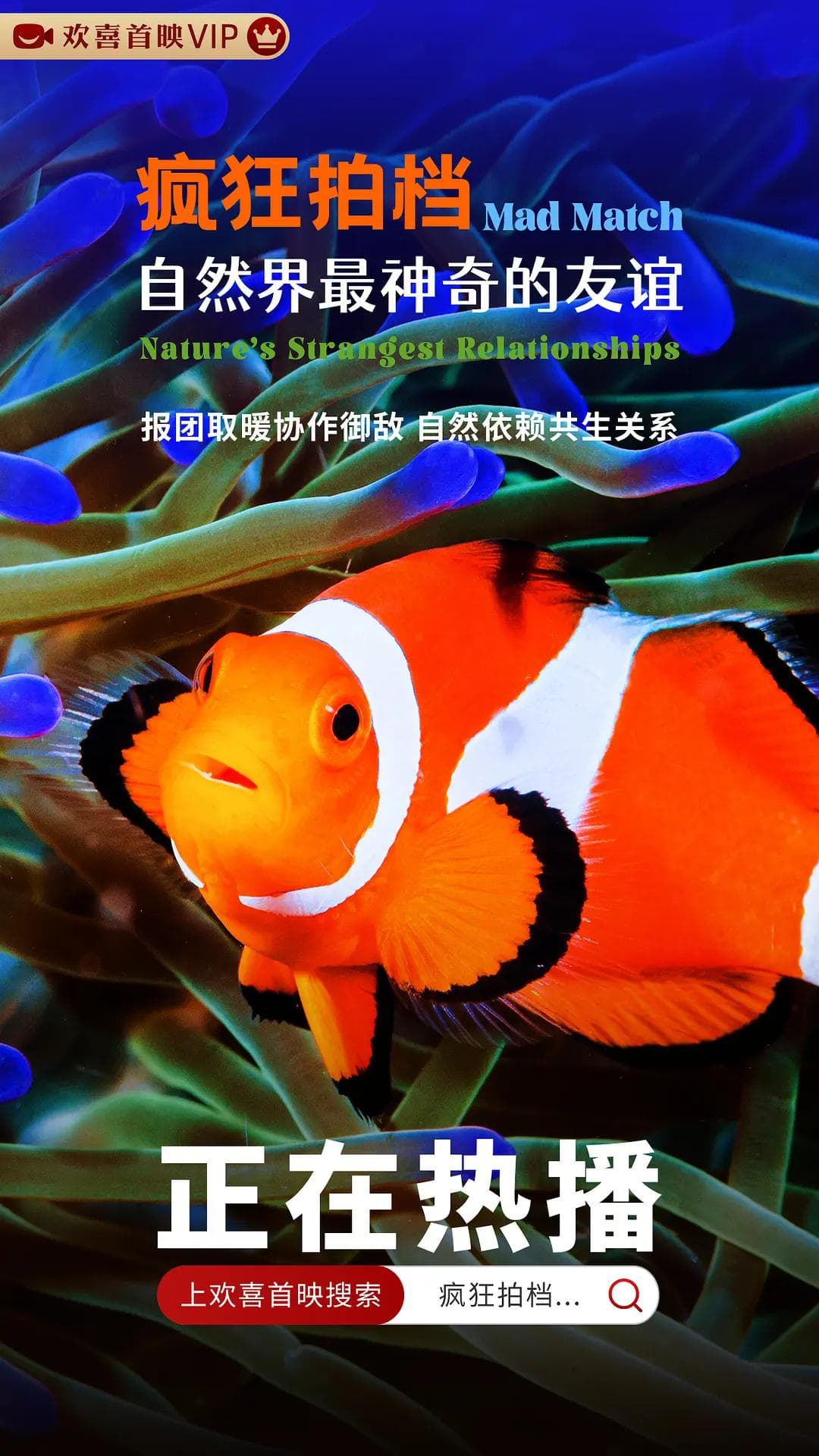 疯狂拍档:自然界最神奇的友谊海报