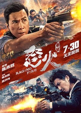 怒火·重案(国语版)海报