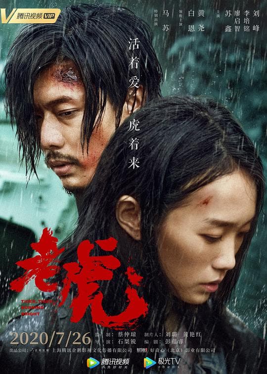 老虎海报
