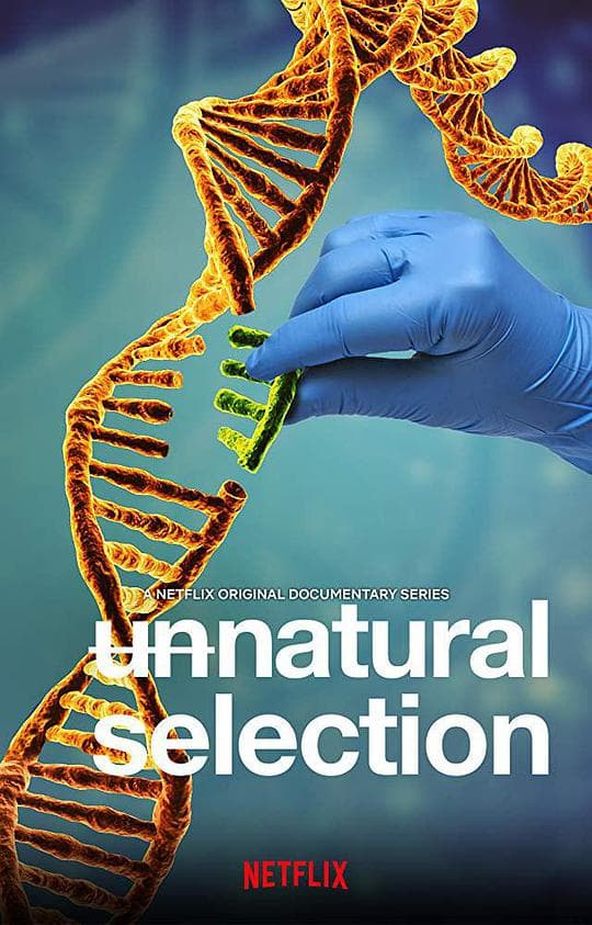 物竞人择海报