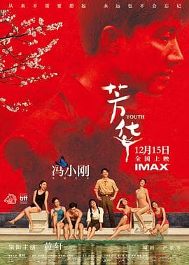 芳华海报