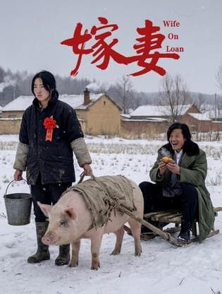 嫁妻海报
