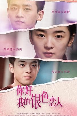 你好,我的银色恋人海报
