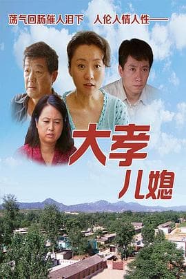 大孝儿媳海报