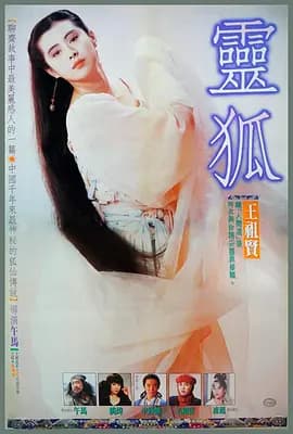 灵狐1991海报